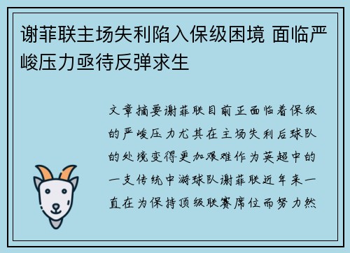 谢菲联主场失利陷入保级困境 面临严峻压力亟待反弹求生