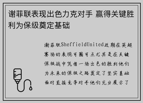 谢菲联表现出色力克对手 赢得关键胜利为保级奠定基础