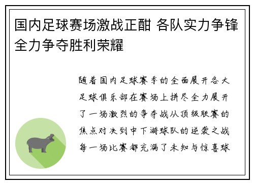 国内足球赛场激战正酣 各队实力争锋全力争夺胜利荣耀