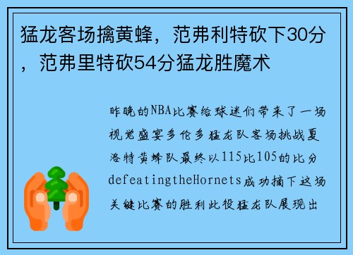 猛龙客场擒黄蜂，范弗利特砍下30分，范弗里特砍54分猛龙胜魔术