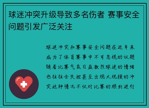 球迷冲突升级导致多名伤者 赛事安全问题引发广泛关注