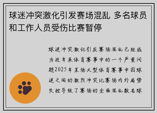 球迷冲突激化引发赛场混乱 多名球员和工作人员受伤比赛暂停
